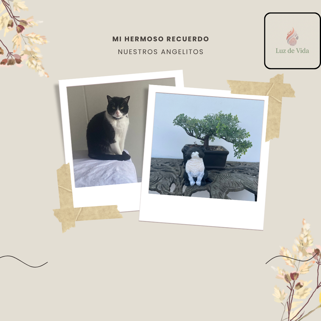 Velas artesanales Luz de Vida